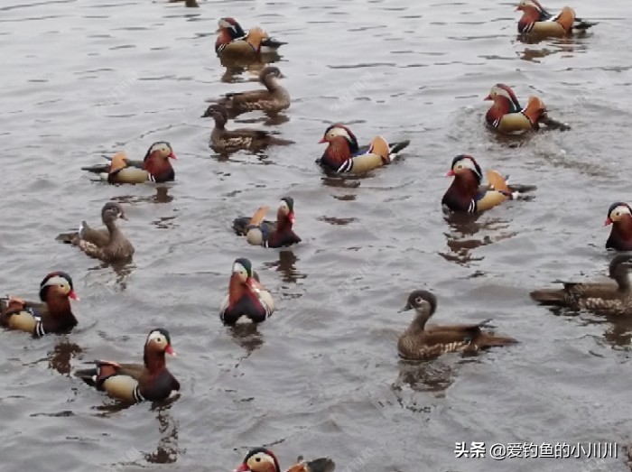 聊下找口与抓口的问题个人见解