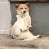 拜佛名媛翻车啦，背景被人扒底朝天