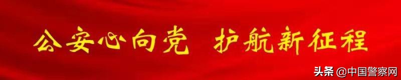 刷单套路深度解析,刷单套路到底有多深