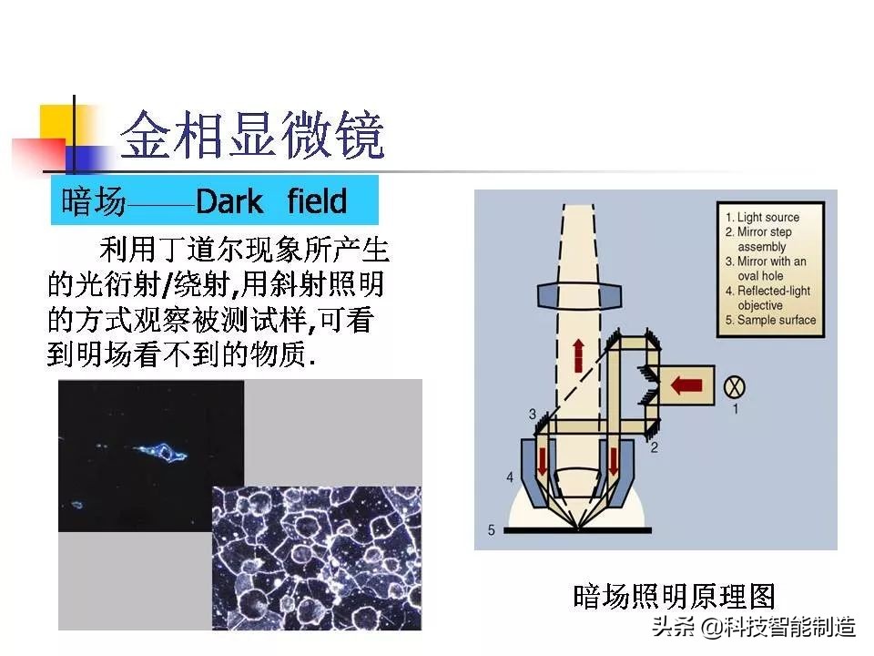 材料科学基础和金相分析,金属金相组织基本知识