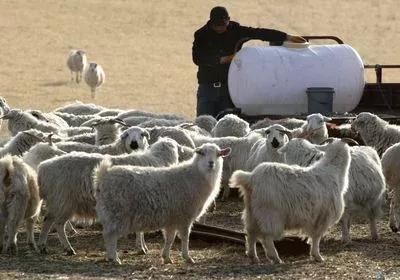 内蒙古大草原诗歌,内蒙古草原之旅