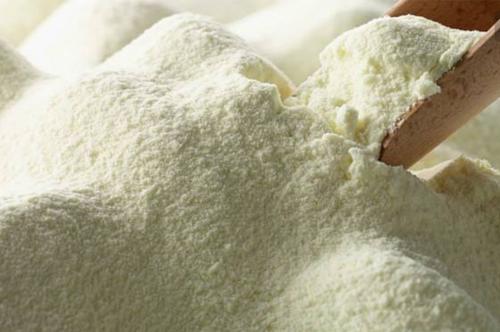 新手养狗便宜又能保护主人,新手养狗避雷事项