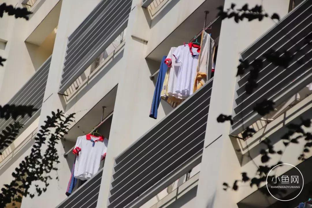 很多人挤破脑袋都想进的学校,万千学子挤破脑袋都要进大学