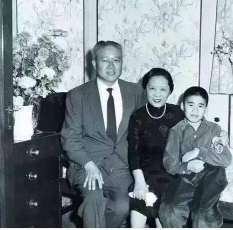 袁世凯子孙后代哪一支发展得好,袁世凯以及后人