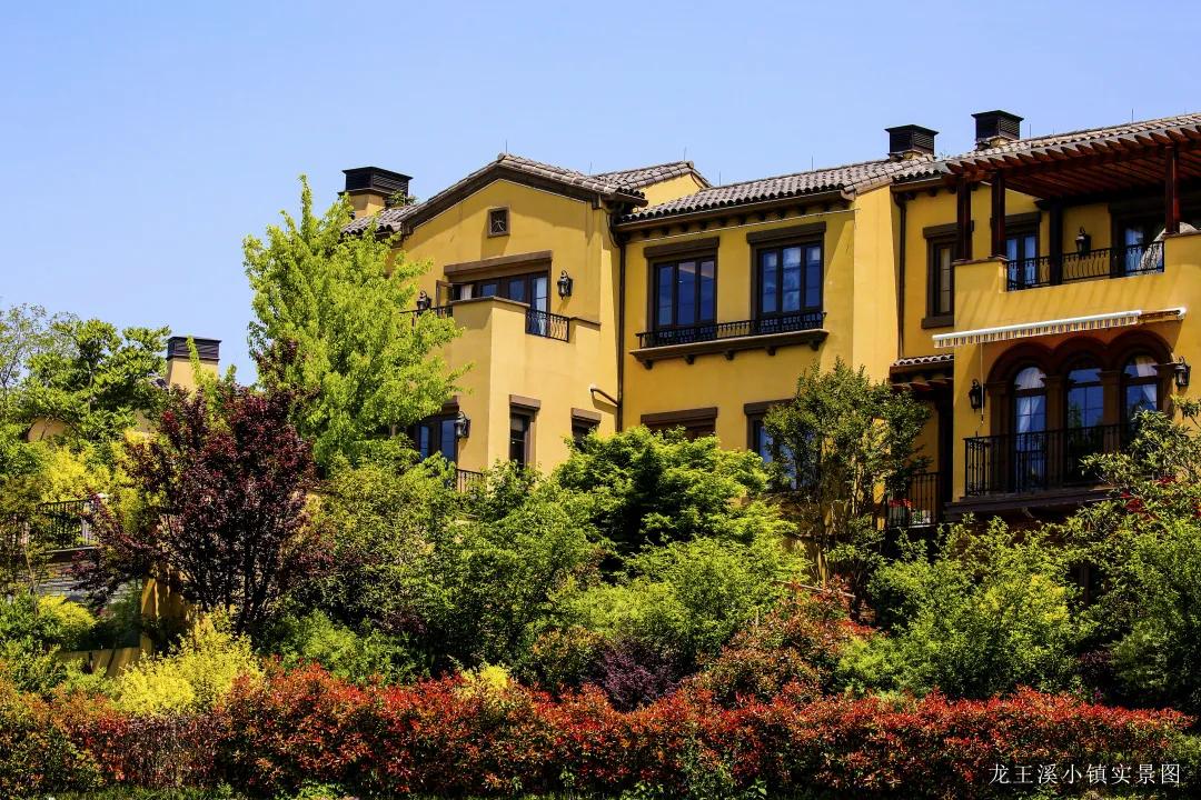 绿城龙王溪小镇房价多少钱,绿城龙王溪小镇楼盘