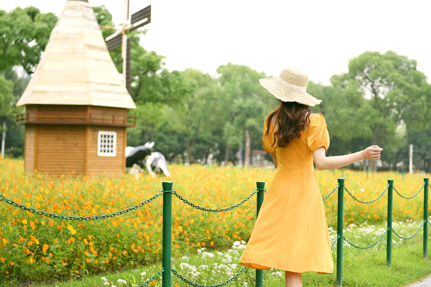 黄橙绿颜色的手账,夏天色彩手账图片