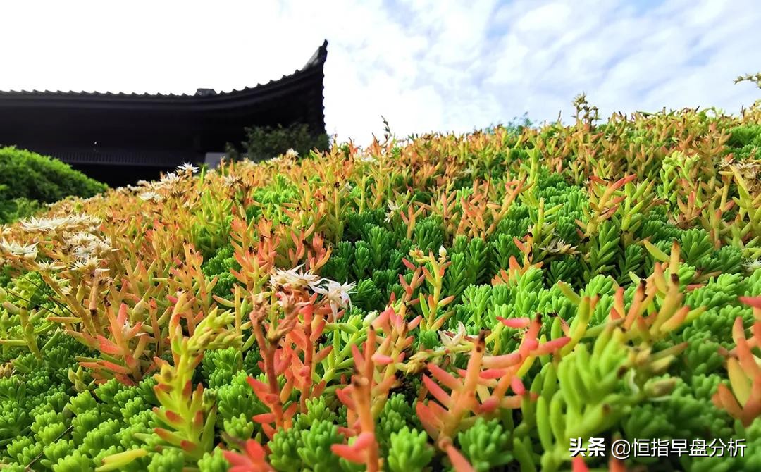 让人豁然开朗的文章,让人恍然大悟的隐喻