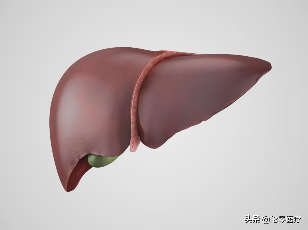 2022年恶性肿瘤筛查与预防指南,常见恶性肿瘤的预防和筛检