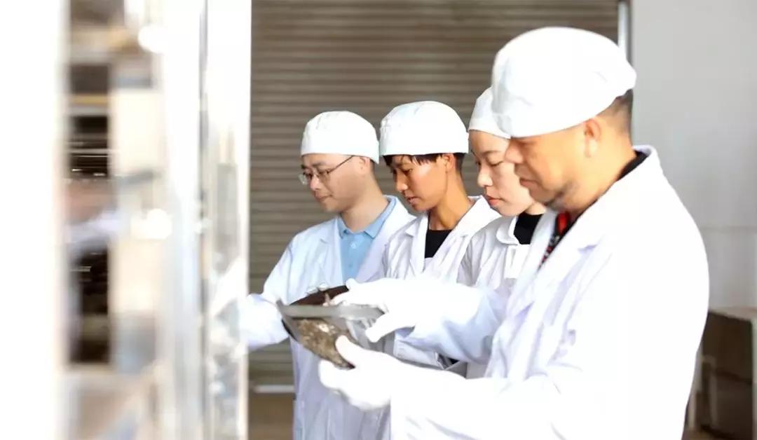 双陈普洱上市了吗,双陈普洱中期茶