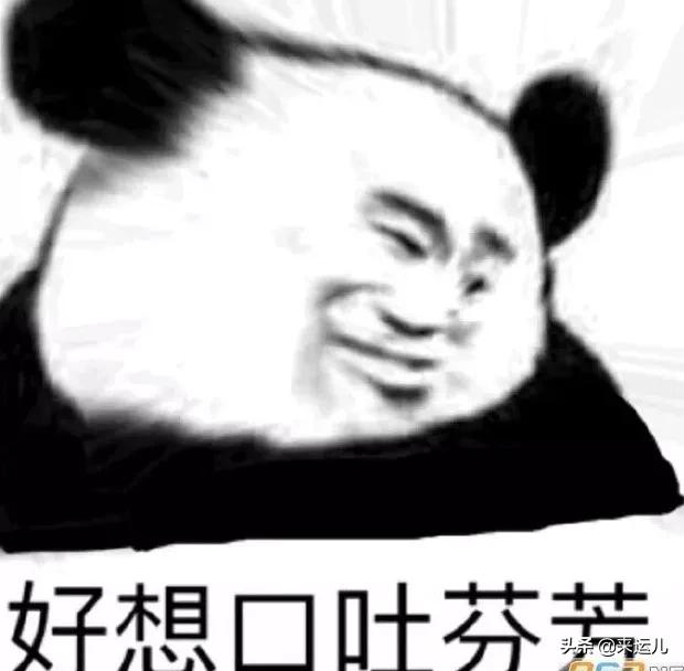 2019十大流行语公布哪个你最常用,盘点2019网络十大流行梗爆笑神曲