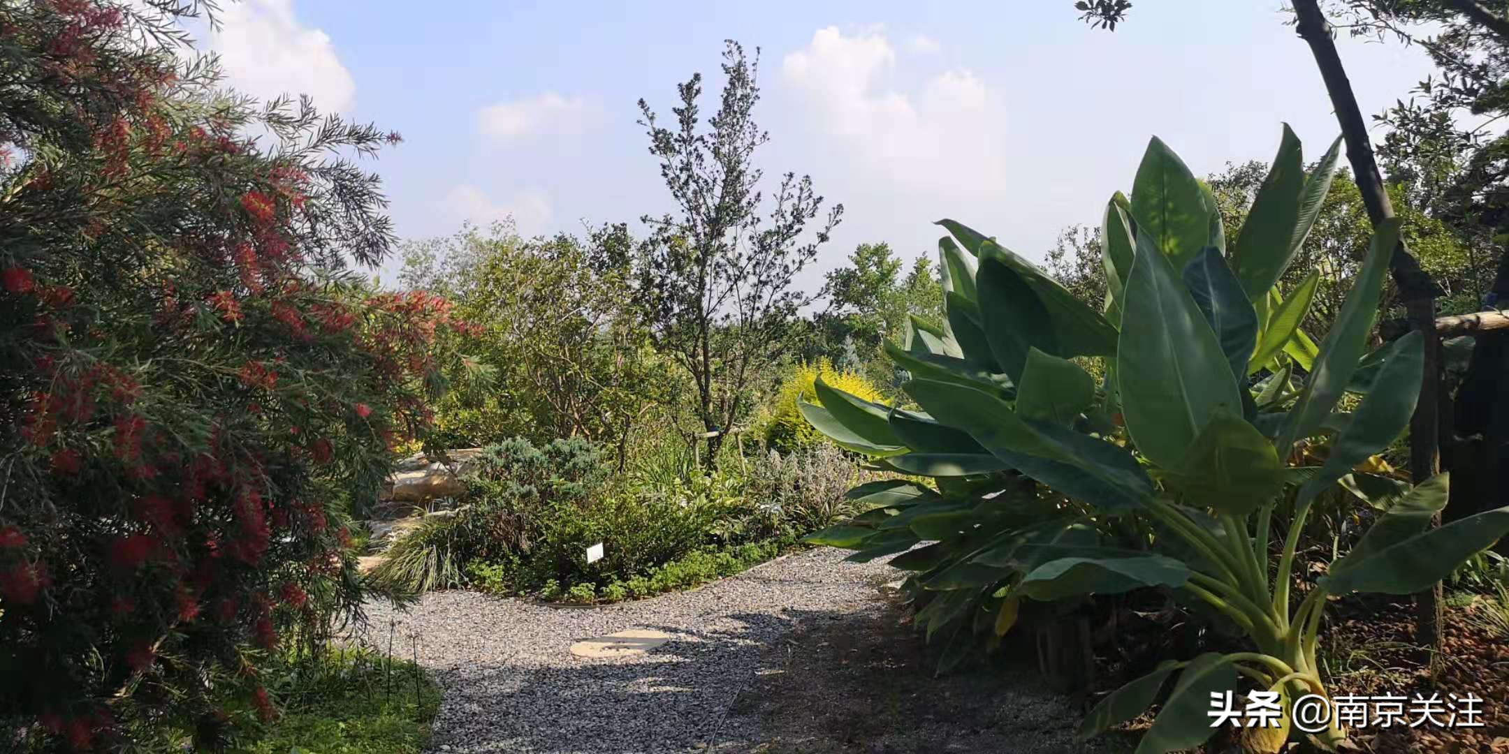 溧水三叶梦华苑有哪些好玩的地方,溧水三叶梦华苑秋天看什么