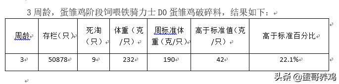 鸡场养雏鸡怎么增加体重,雏鸡怎么管理最健康