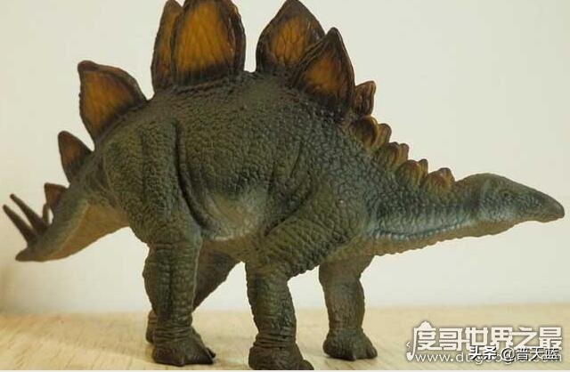 恐龙最凶猛前十名,有些恐龙凶猛异常