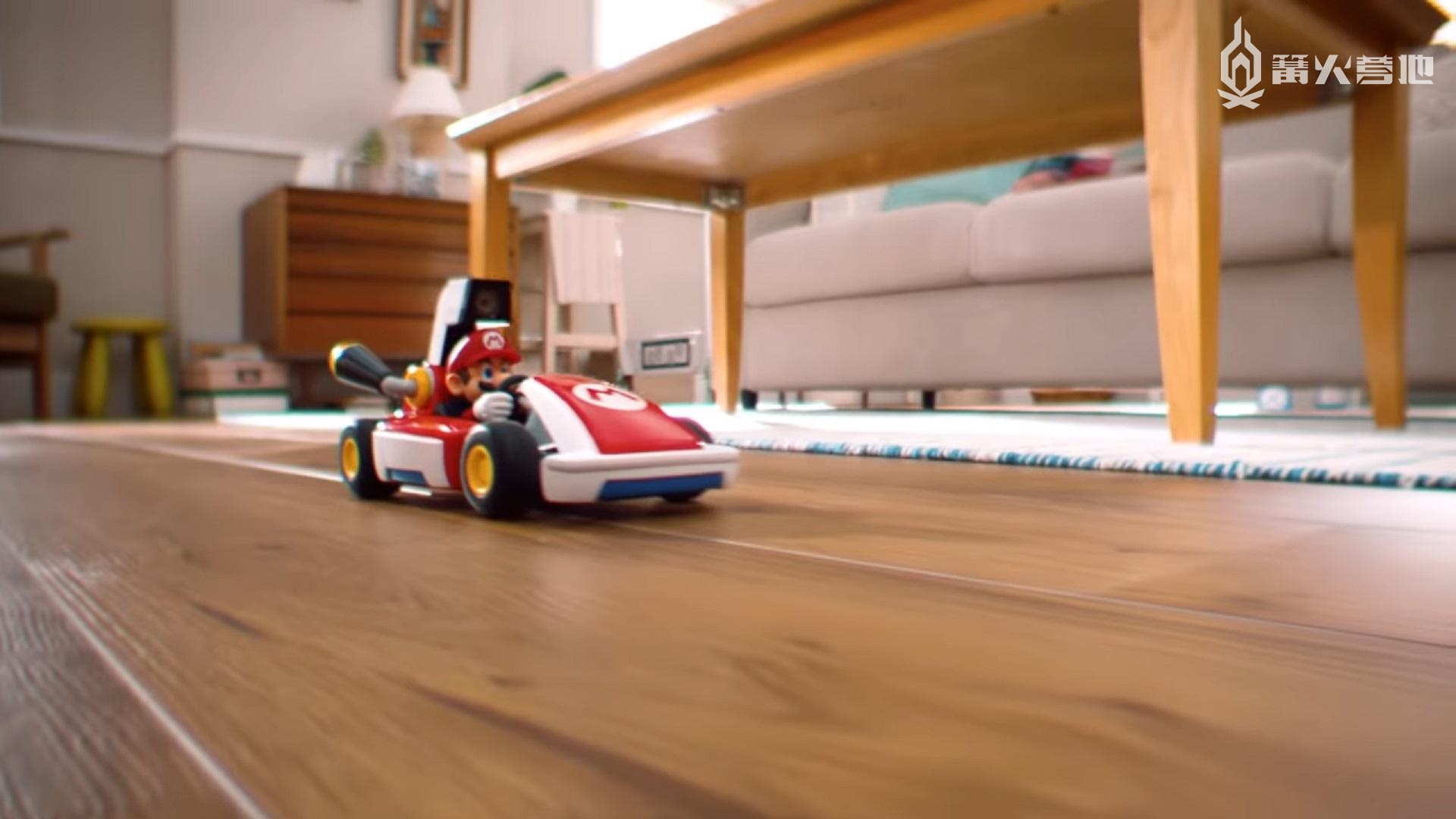 玩《马力欧卡丁车实况：家庭赛车场》前，你问过你家猫咪了吗？