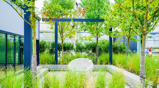 玛丽花园三期推出,玛丽花园景观设计