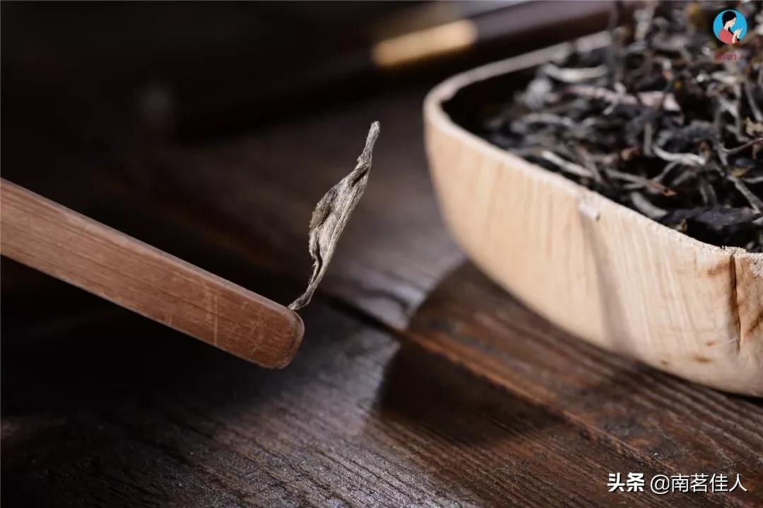 快看！前方发现一座宝藏山头，神似“班章”，却有自己的独特之处