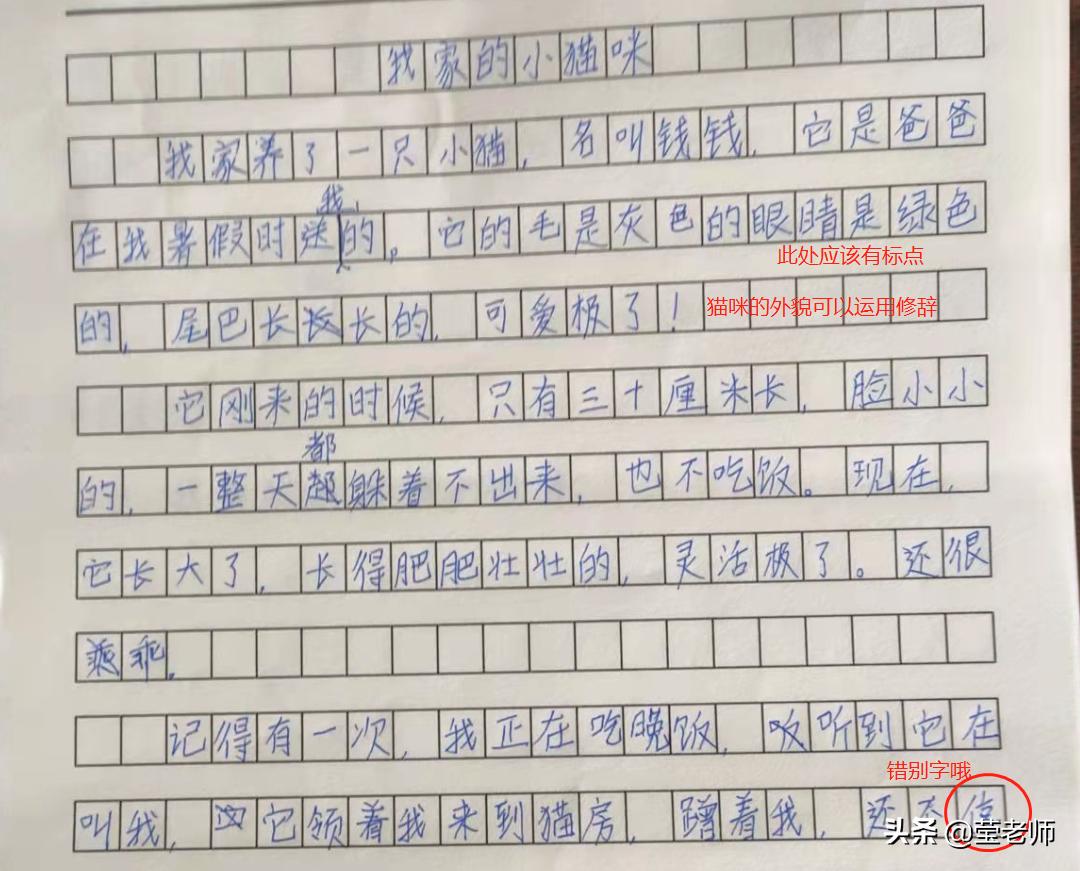 应邀点评作文/我家的小猫咪（四年级小美）