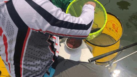 9月8日：华为、比亚迪、富士康、老G鱼饵，联合举办深圳企业联赛