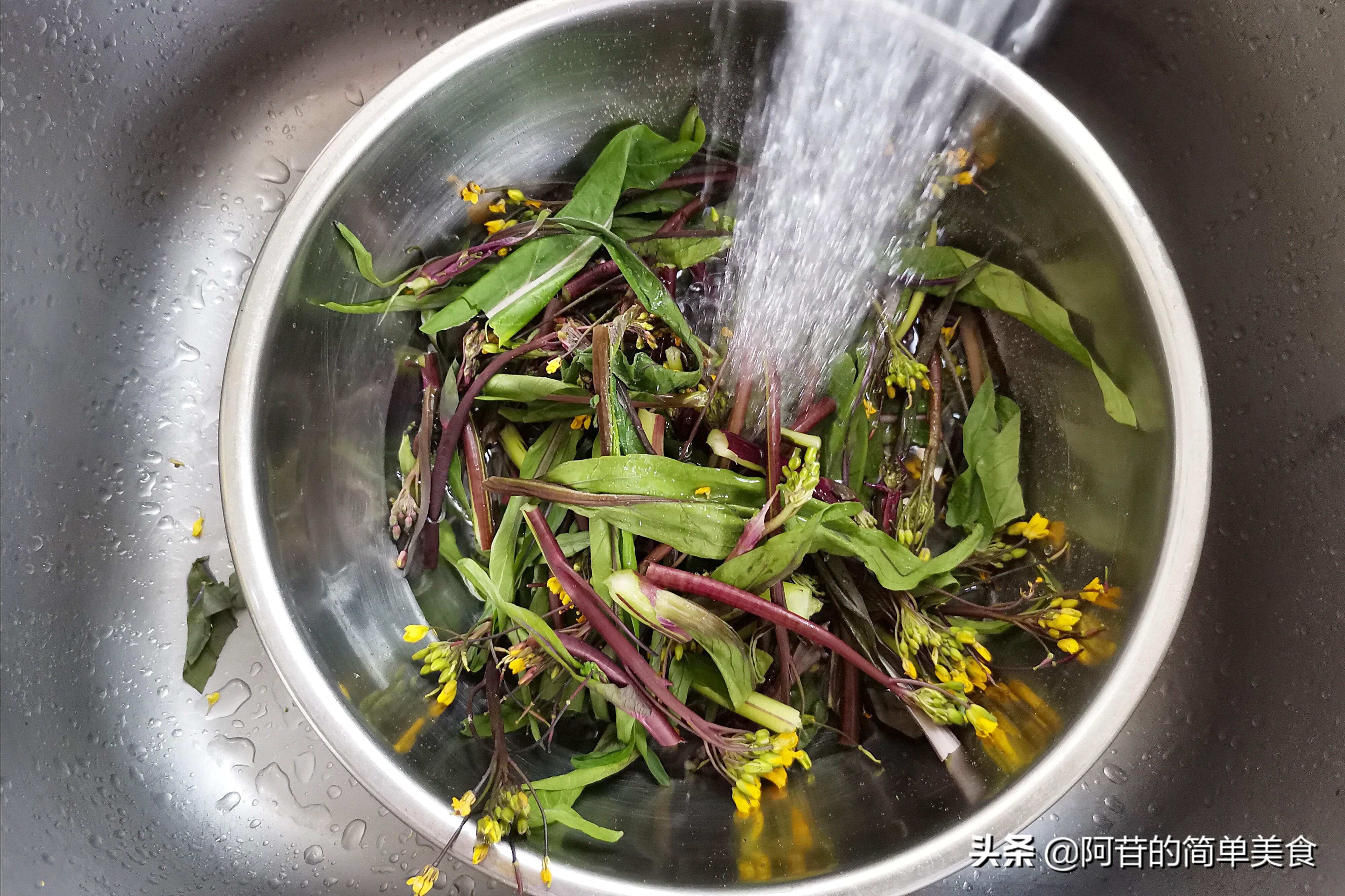 特色紫菜苔,爽脆的紫菜苔