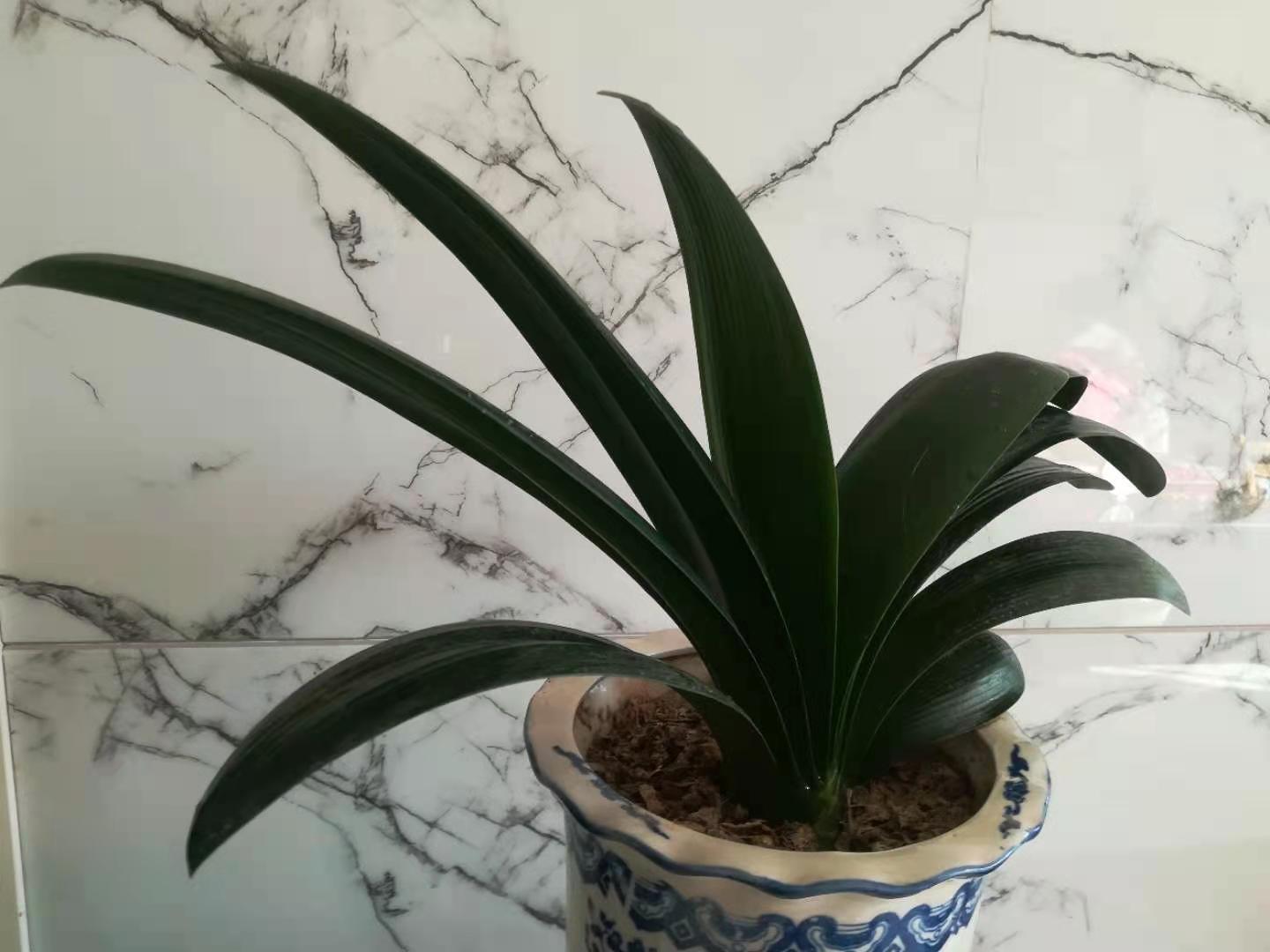 满怀豪情迎接新的一年到来,满怀激情迎接新学期视频