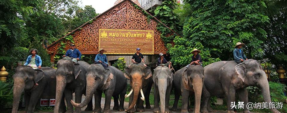 马蜂窝大数据显示：这个国家蝉联国人出境游第一大目的地