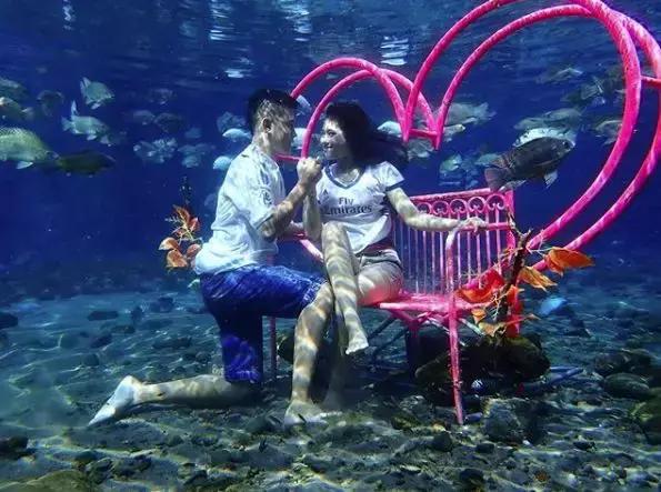 乡下小池塘,乡村里面的小池塘