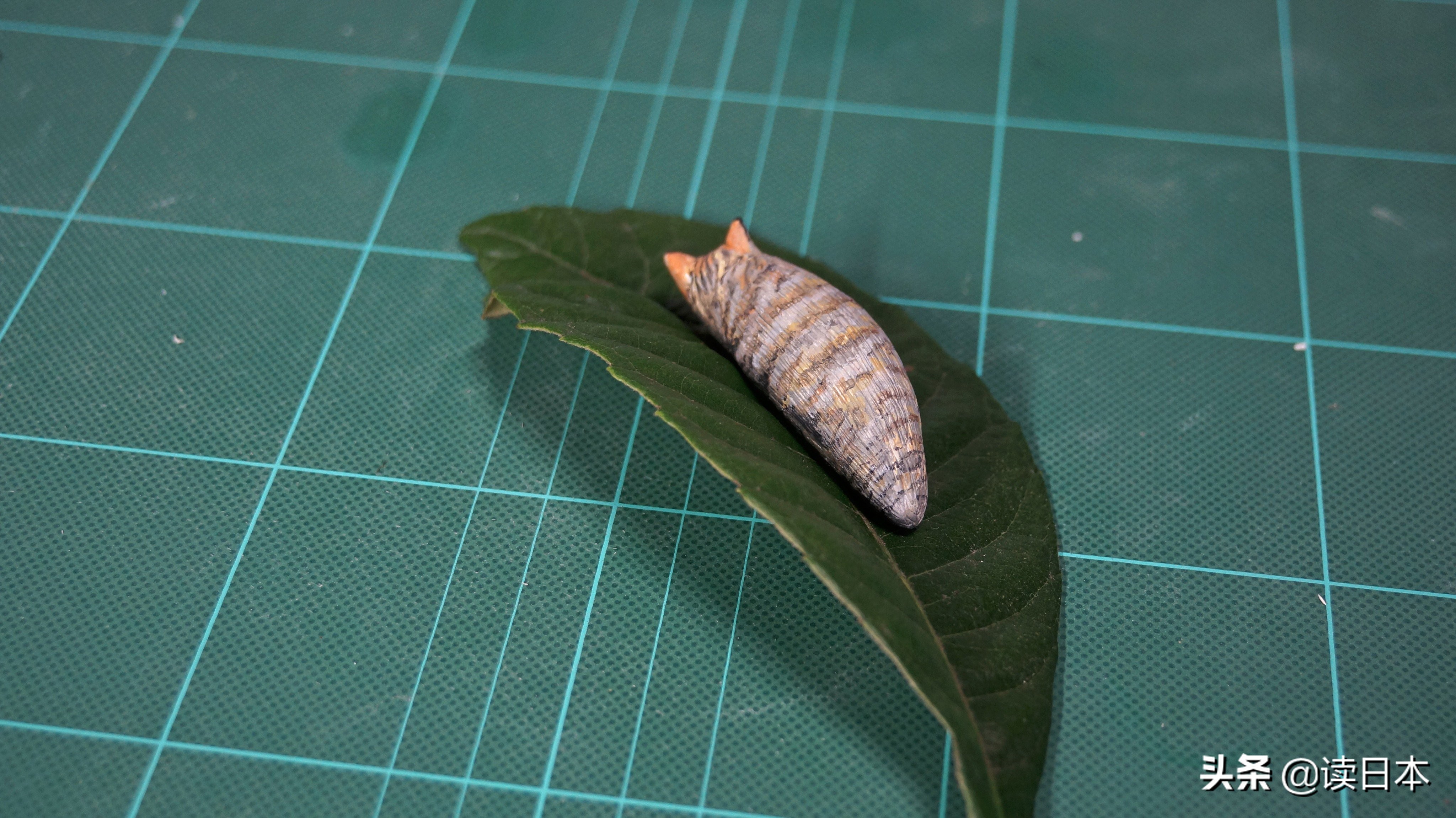 沙雕手办日本小哥,日本沙雕手办小哥哥