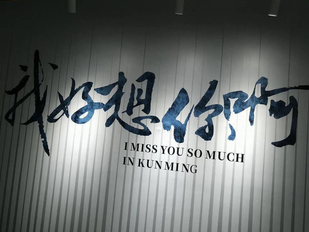 宇航员动态壁纸高清全屏120帧竖屏,太空壁纸高清4k宇航员火箭卡通