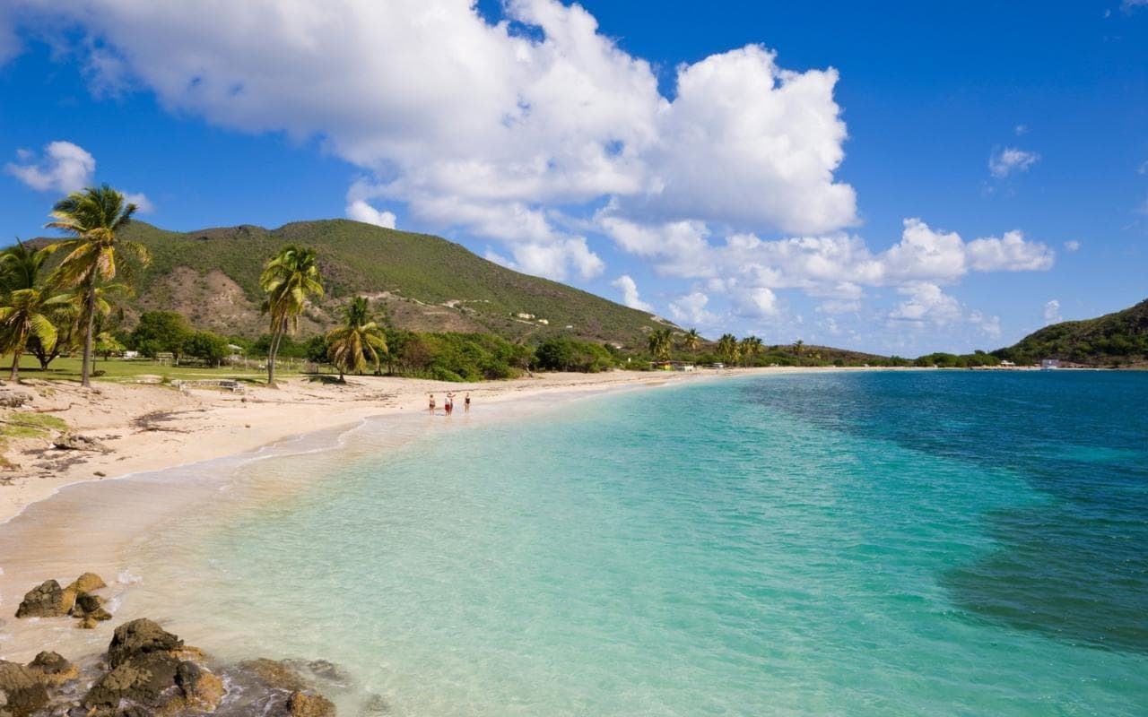 鲯鳅为什么被称为海洋中的变色龙,淡水鲯鳅
