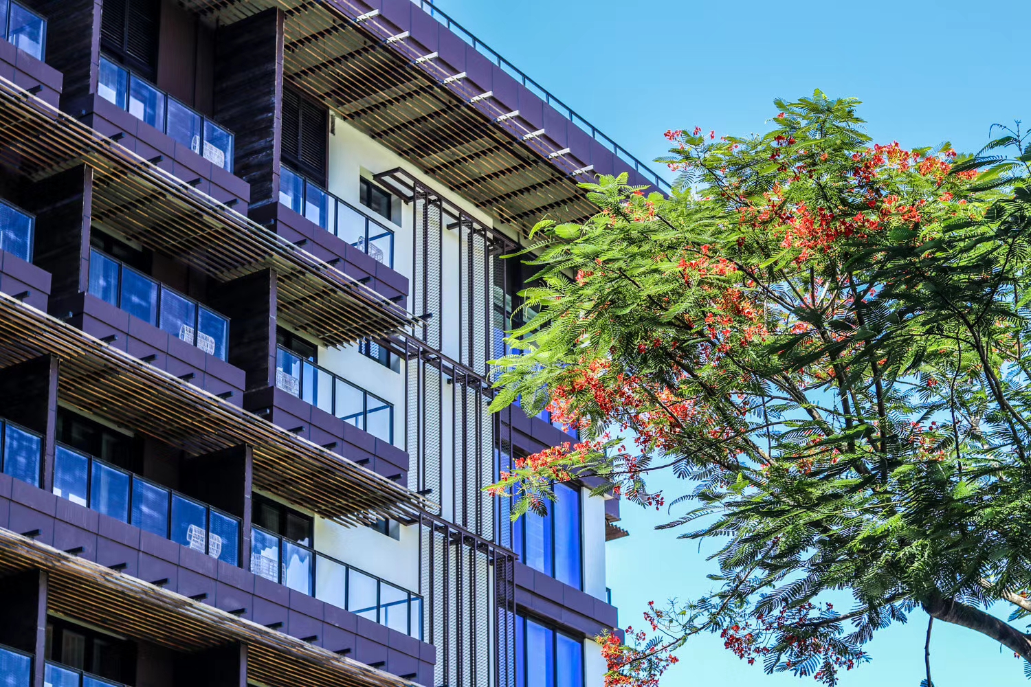 三亚最顶级的酒店排名论坛,三亚最顶级度假酒店排名