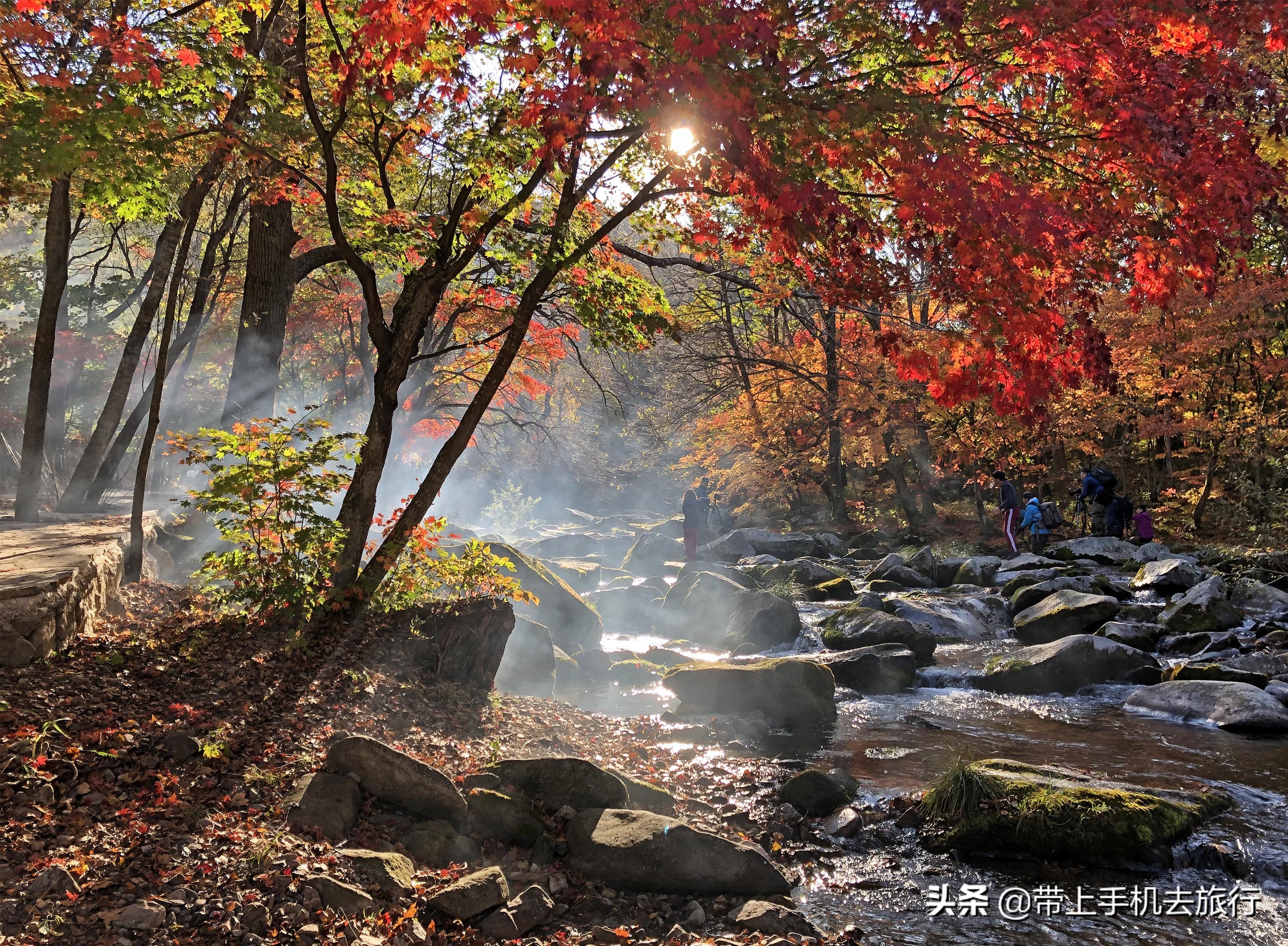 手机怎么拍出好看的画质,手机如何拍摄手机画面好看