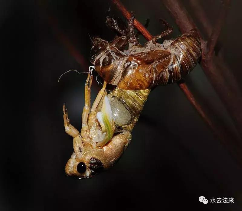 欠缴物业费被诉？业主要会做这两个反制动作