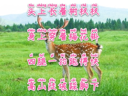 常与孩子猜谜100条儿童谜语建议,经典谜语清单让你的宝宝变聪明