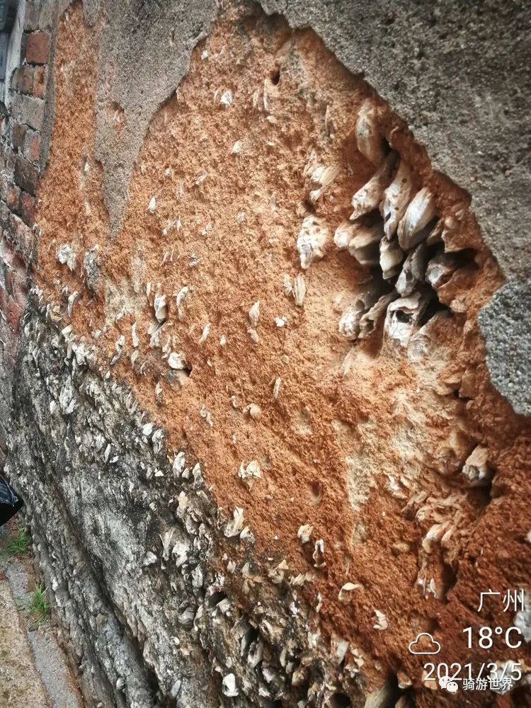 沙湾古镇和岭南印象园哪个好玩,宝墨园岭南印象园与沙湾古镇