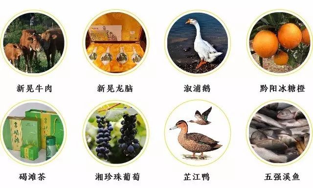 湖南隐藏款土特产有哪些,湖南受保护特产