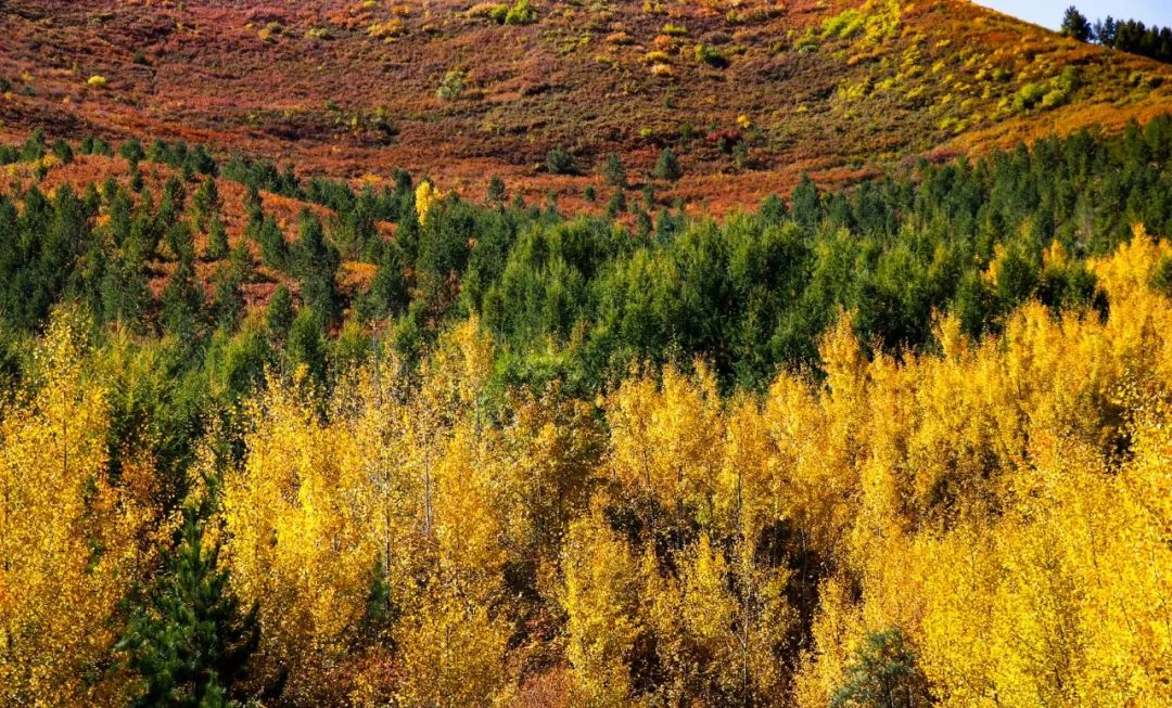 宣化富龙地产董事长王诚,对话高端企业家
