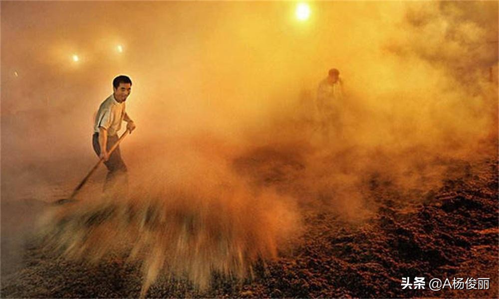 怎样的酿酒设备出酒快,液态酿酒如何出酒率高