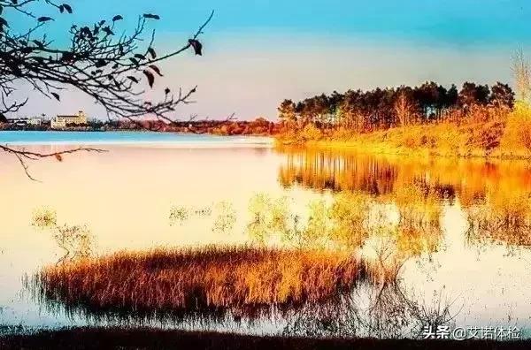 合肥景区免费景点,合肥旅游景点大全免费玩