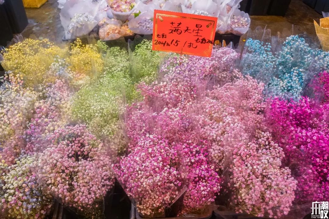广州最大的花卉市场有哪些店,广州最便宜的花卉交易市场