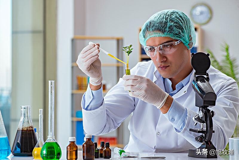 欧维素预混料推荐配方,欧维素预混料价格表