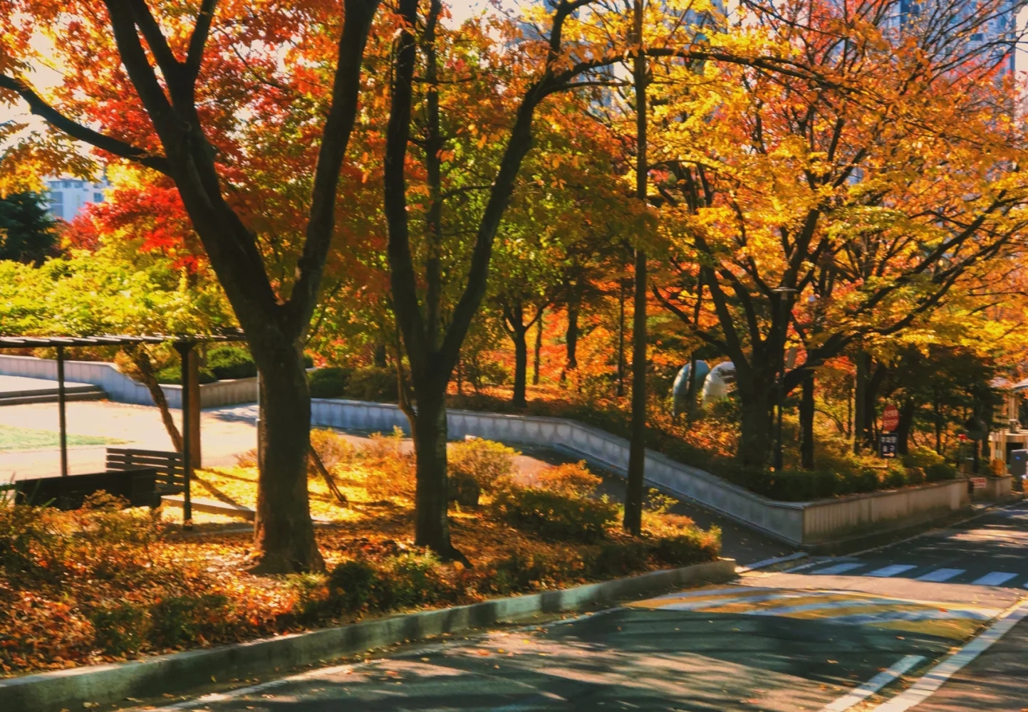 庆熙大学和西江大学哪个好,韩国西江大学全国排名