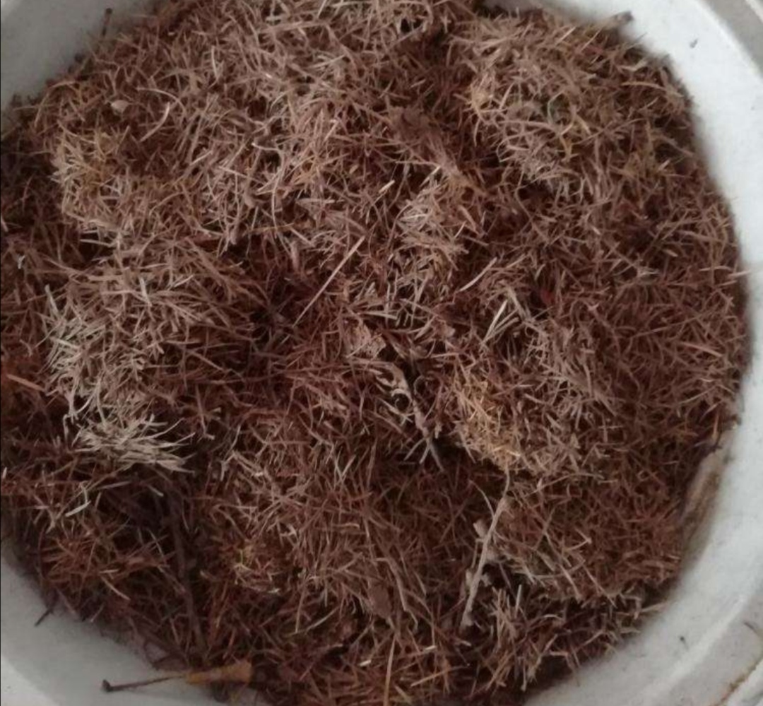 养花营养土怎么自制,在家如何制作养花营养土