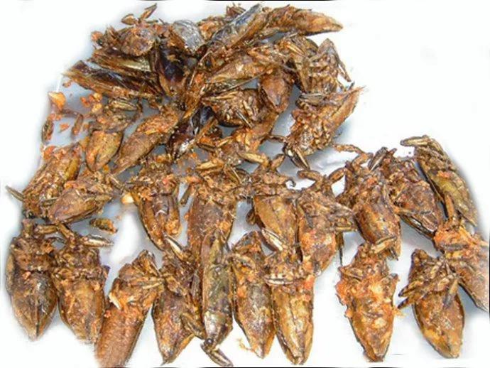 那些年我们吃过的苦,那些年我们吃过的山珍海味