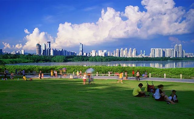 深圳湾在哪里,深圳湾是什么区的