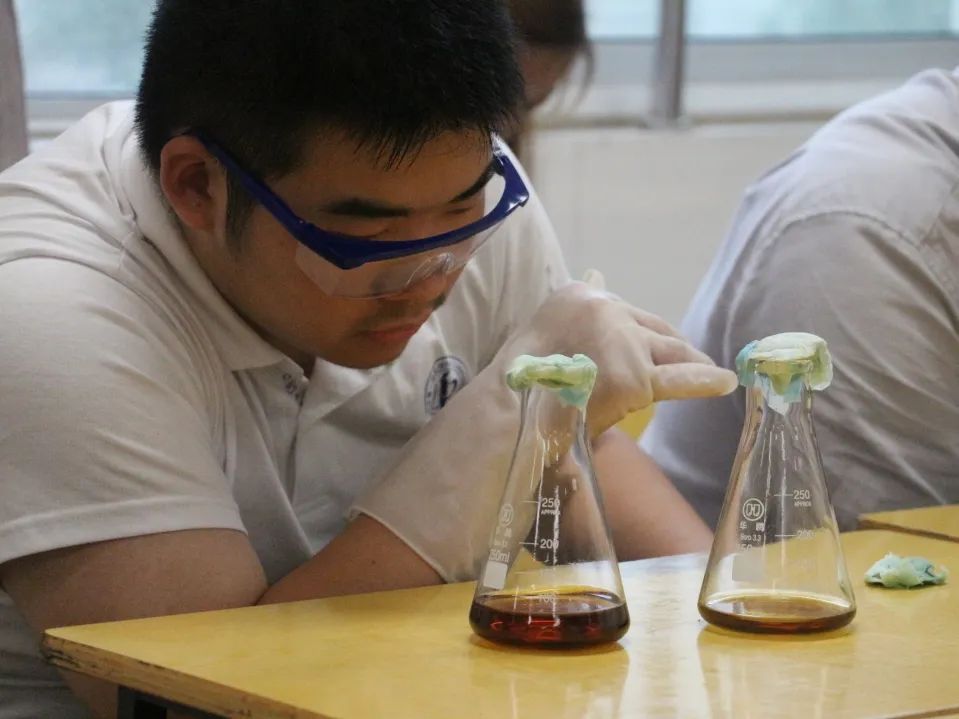 合肥一中蒙特威高中,合肥一中美国高中