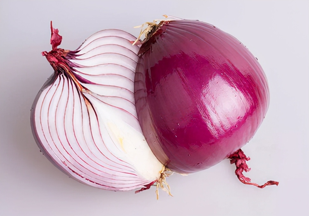 五个月的泰迪狗总是呕吐怎么办,狗狗不吃食物没精打采呕吐怎么办