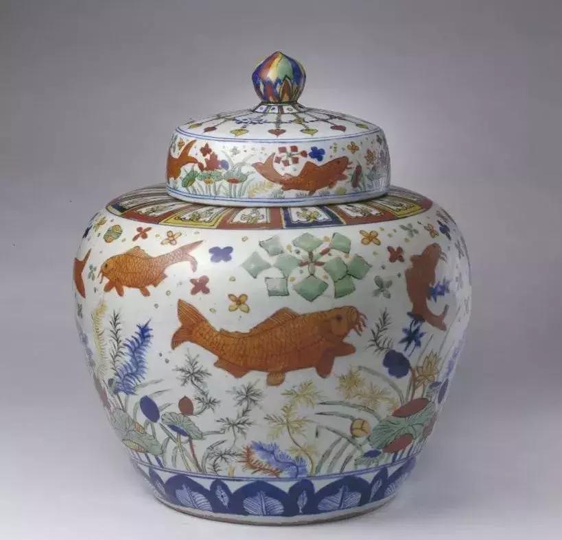 锦鲤真的会有好运吗,锦鲤好运了解多少