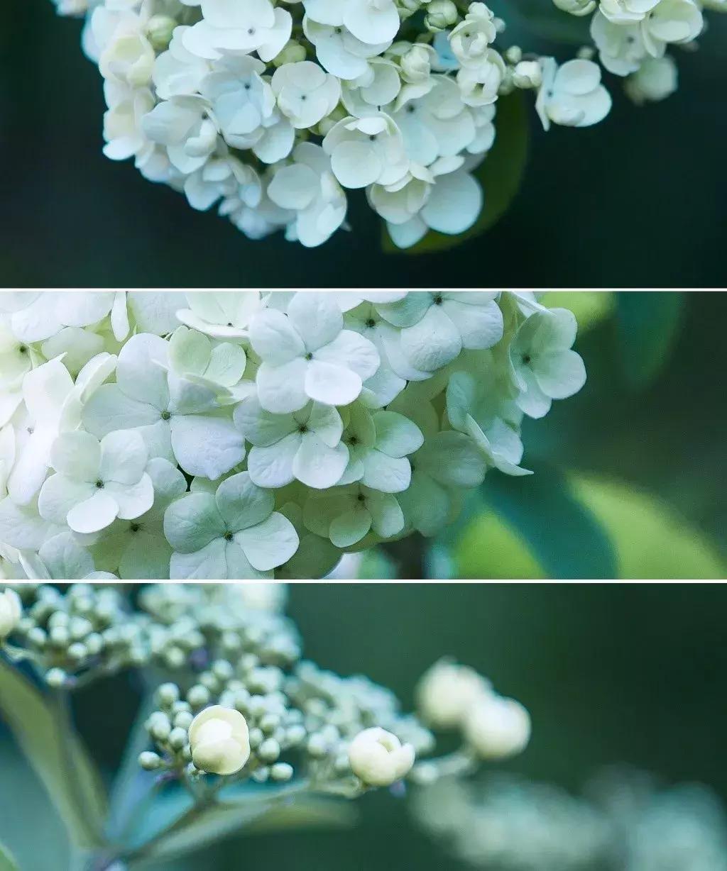 古典意象现代诗,意境深远的现代诗