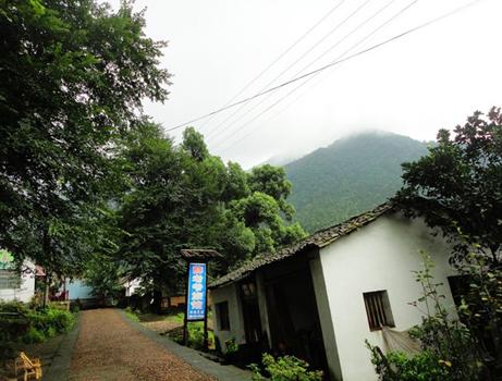 山区农民怎么走上致富路,山区有什么致富项目