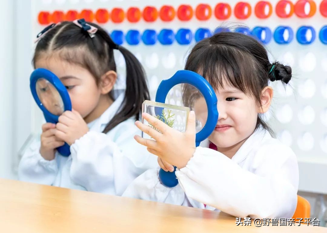 stem教育创始人,stem美国大学